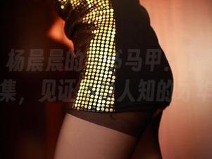 ROSI - 杨晨晨的秘书马甲：下载她的作品集，见证不为人知的才华！