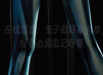 丽柜 - 在线游走：兔子的网袜合集，保持好奇心别忘记呼吸