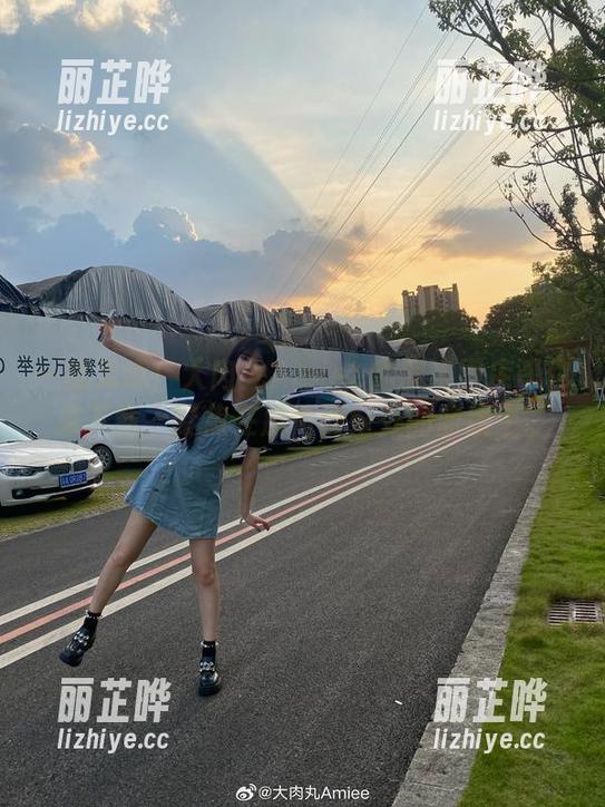一览无遗！大肉丸Amiee的旗袍图库等你来下载，聚焦在那恰到好处的曲线上。